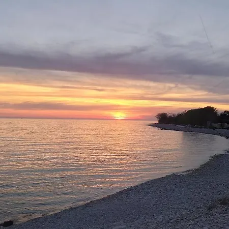 Olive Garden 2 페로이