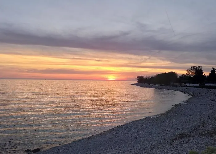 Olive Garden 2 Peroj