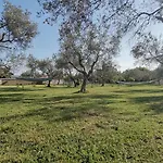 Olive Garden 2 *