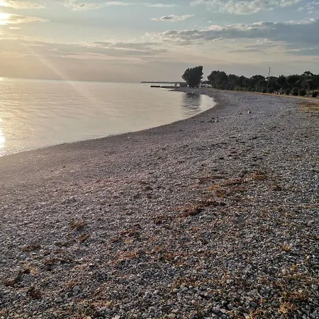 Apartament Olive Garden 2 *