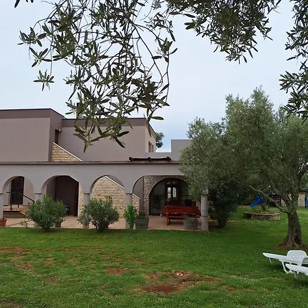 Olive Garden 2
