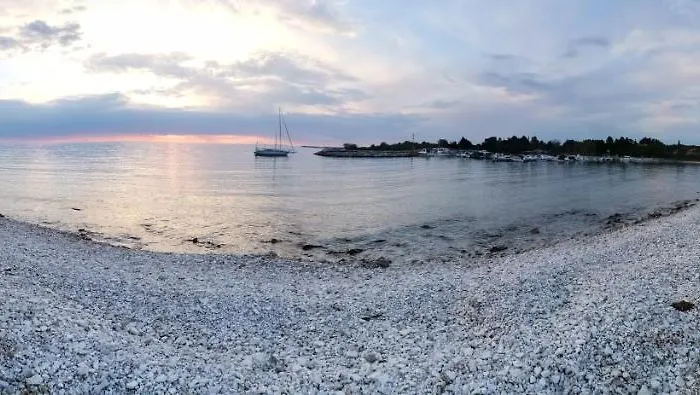 Lägenhet Olive Garden 2